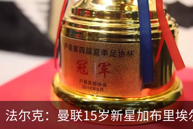法尔克：曼联15岁新星加布里埃尔被曝将离队，拜仁等四家俱乐部有意